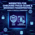Website To Check Fraud Score / Browser Fingerprinting